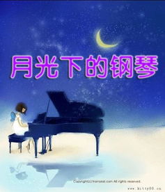 海贼王之天下由我